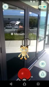 Pokémon Go. A Meowth caught outside The Newsletter Pro's headquarters in Boise, ID. 