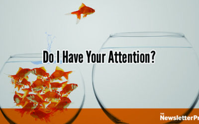 Is The 8-Second Attention Span Real?