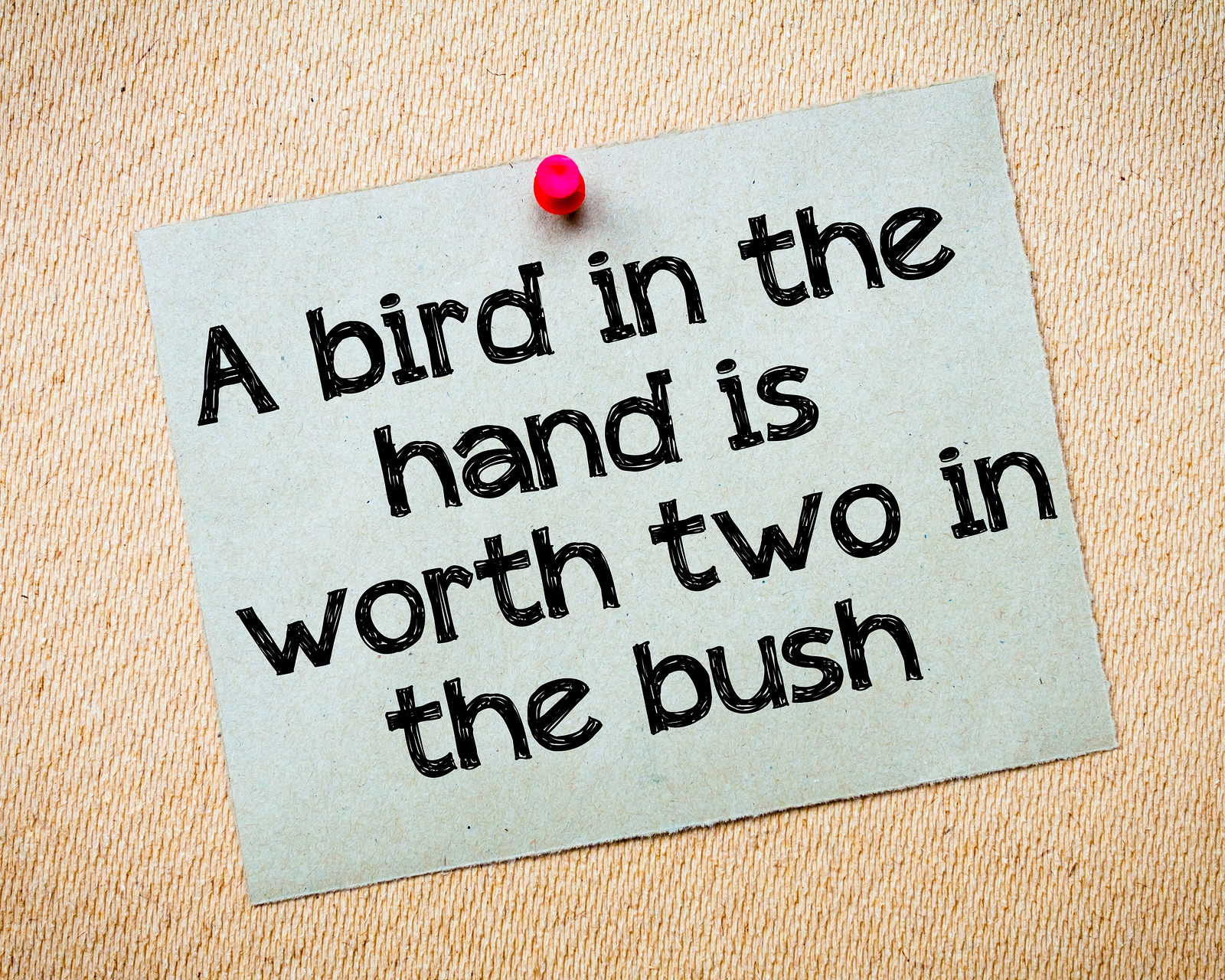 A Bird In The Hand Is Worth Two In The Bush The Newsletter Pro