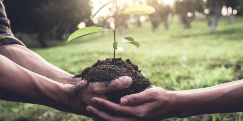 Giving Back With An Eco-Friendly Set Of Shades helping hand