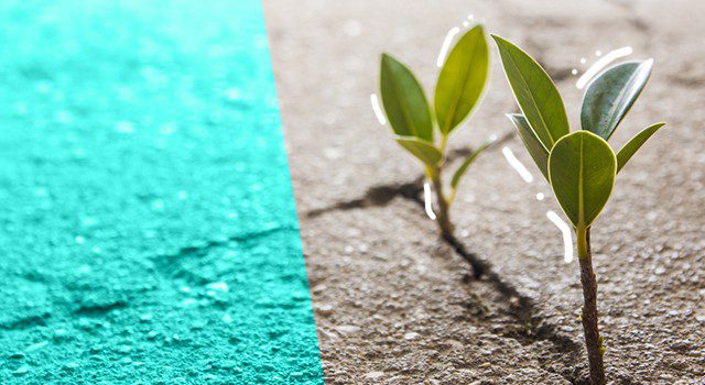 Your Customers Have Changed — Has Your Business Adapted To Reach Them?