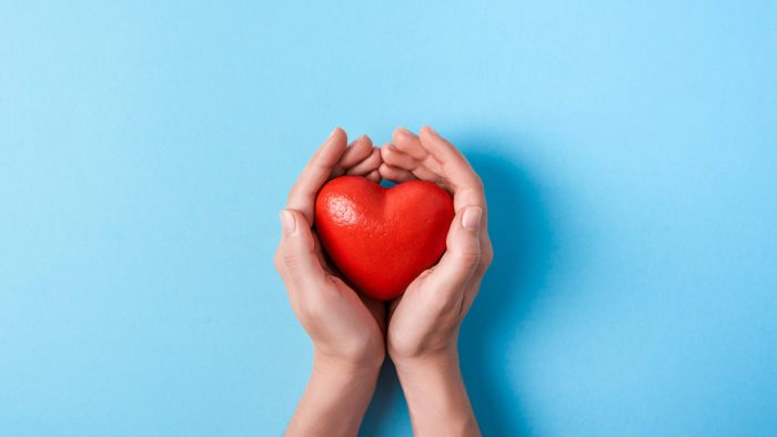 the big red heart in women's hands isolated on a blue background. Top view. Copy space