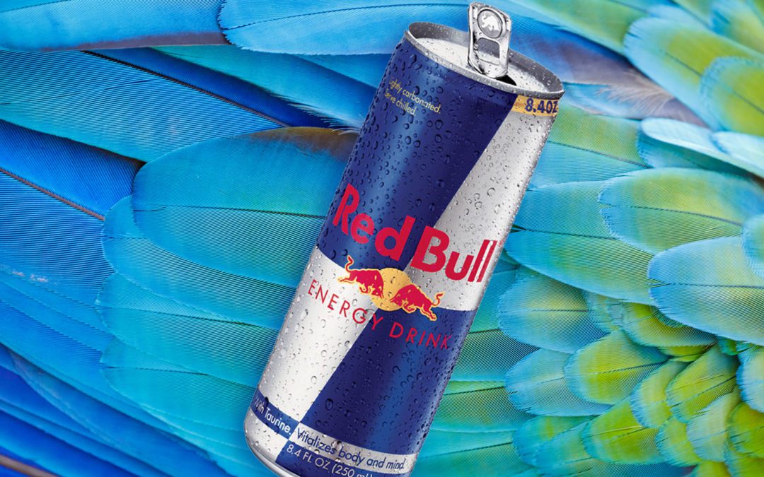 How The Red Bull Brand Image Became An Inspiration To Marketers Everywhere