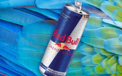 How Red Bull Built A Legendary Brand Empire
