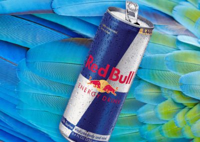 How Red Bull Built A Legendary Brand Empire