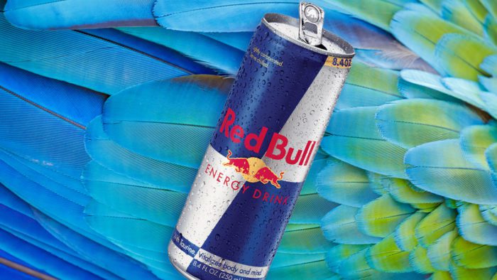 sammensværgelse Ubestemt Nu How Red Bull Built A Legendary Brand Empire | Newsletter Pro