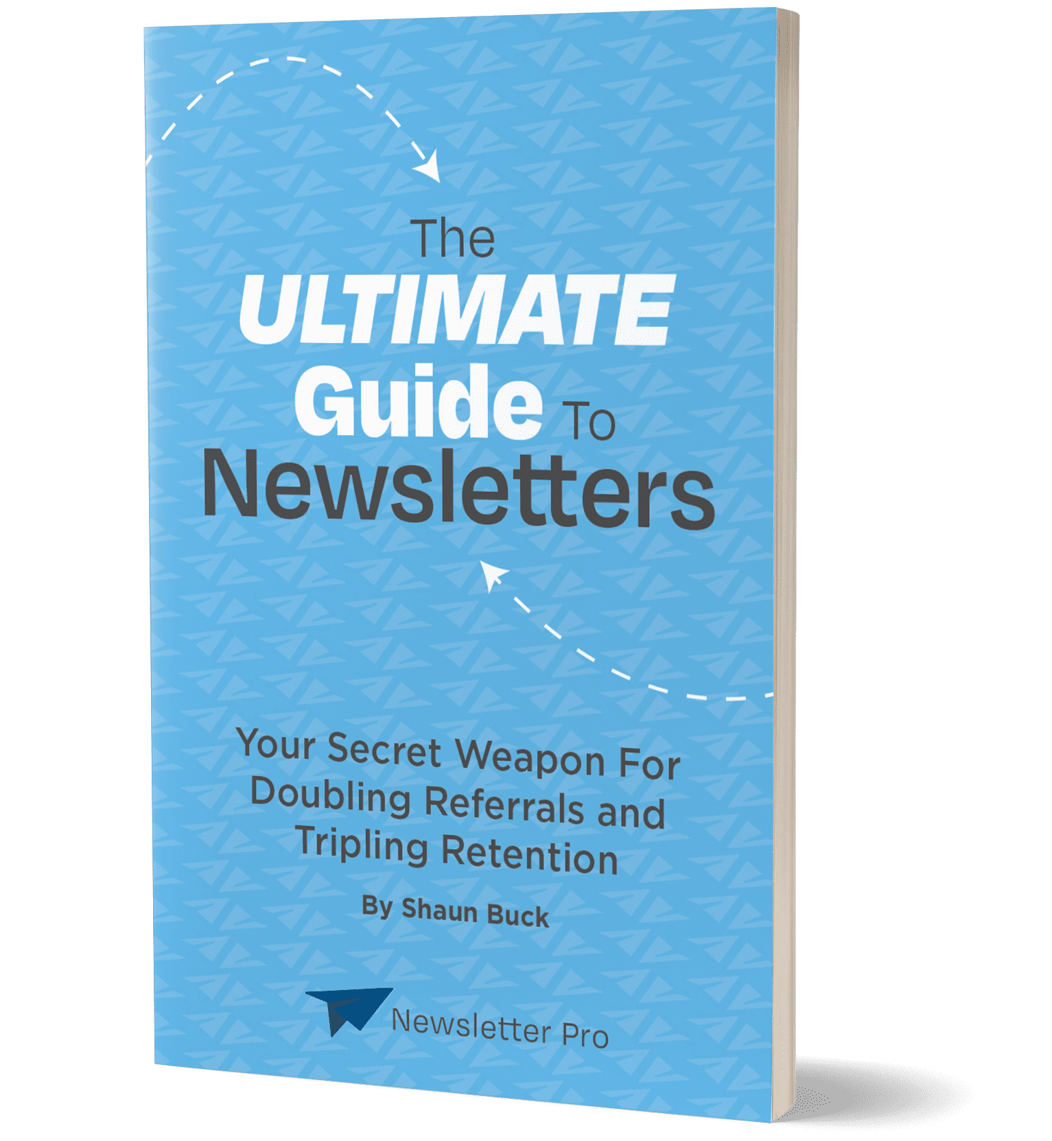 Get Your FREE Copy of The Ultimate Guide to Newsletters!