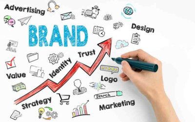 Brand vs Business: Key Distinctions for Success
