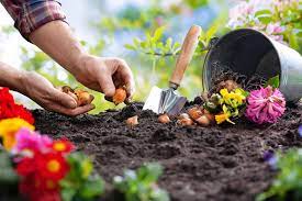 Gardening Newsletters : Essential Guides for Green Thumbs